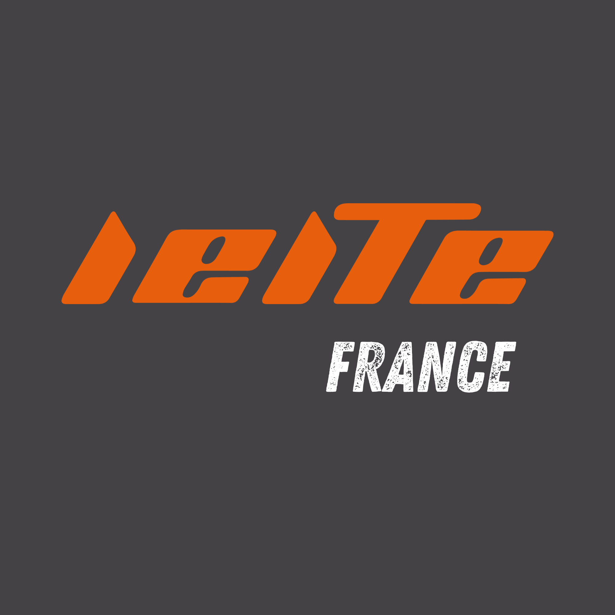 Leite France