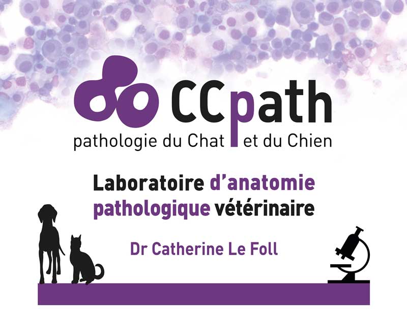 Création graphique pour un laboratoire à Tournefeuille