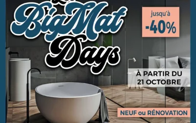 Agence web, agence SEO et réseaux sociaux pour BigMat à Toulouse